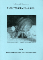 DJN-Bestimmungsschlüssel für Süßwassermollusken